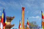 32-nam-tv-quangduc-50-