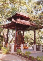 chuahaiduc3