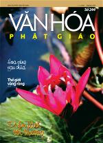 van-hoa-phat-giao-so-244-a