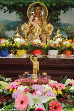 chua-quan-am-vesak-2014-2