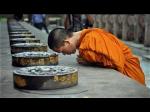 samhoi2-tlieunguyen