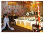 dieu-dao-song-phuong