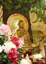 tu-vien-quang-duc-15
