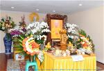on-dong-tuyen-tra-ty-71-