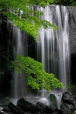 fukushima-japan