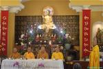 chua-hoa-nghiem-virginia-41-