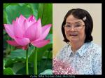 tran-thi-kim-loan-1