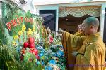 vesak-2024-chua-quan-am-63-