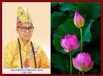 ht-thich-nhu-minh-1