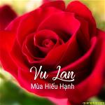 hoa-hong-vu-lan