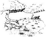 hoang-tu-khi