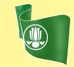 tuoi-tre-viet-nam-tai-hai-ngoai