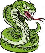 king-cobra-snake-7163993