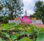 chua-kim-son-nha-trang-1-