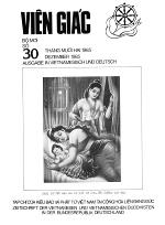 vg030-12-85-bia