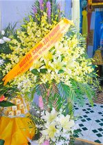 cunguyendong-2512-1