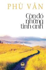 con-do-nhung-tinh-anh-phu-van-1
