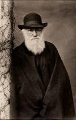 darwin-2