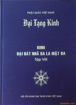 kinh-bat-nha-tap-8-bia-1