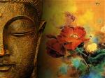 buddha-500