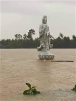 bao-lu-mien-trung-quan-the-am-2020