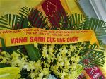 vong-hoa-kinh-vieng-cu-ba-ho-thi-nuoi-1-