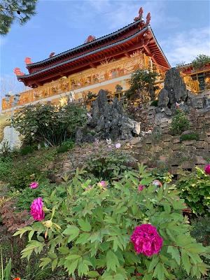 ht thich tanh thiet-7