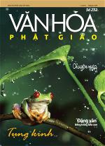 van-hoa-phat-giao-so-232-15