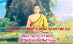 ni-su-hue-ngan