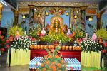 chua-nghia-phuong-dan-duoc-su-9-