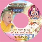 ventang-10hanhphohien