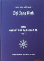 kinh-bat-nha-tap-9-bia-1