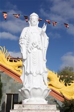 tvqd-phat-lo-thien-a-di-da