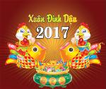 xuan-dinh-dau-2017-c