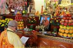 su-ong-lang-mai-tvquangduc-9-
