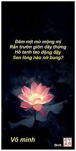 ngu-ngon-tu-cu-12-nhan-duyen-10