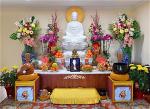 dai-bao-trang-nghiem-4-