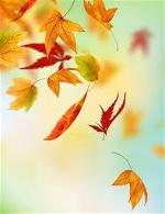 autumn-thu-01