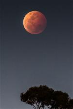 moon