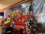 tv-quang-duc-xuan-2023-33-