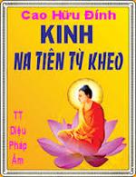 kinhnatientykheo-caohuudinh