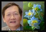 nguyen-thanh-quang