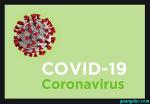 corona-virus-12