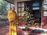 ht-thich-tu-thong-50-8-