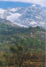 dharamsala-2