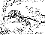 vua-chim-cut