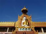 buddha-717