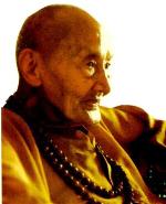 hoathuongquangkham-1