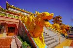 tu-vien-quang-duc-2019-18-