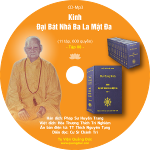nhan-cd-tap-8-kinh-dai-bat-nha